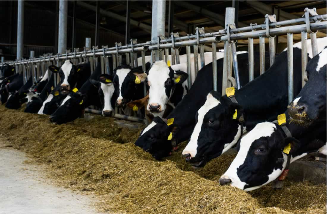 Agrovet