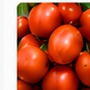 Fresh Tomatoes